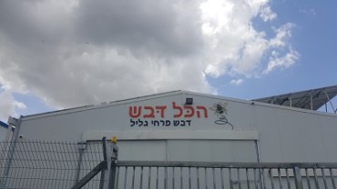 דבש